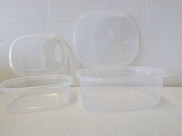 168 Envase Plastico Bisagra PT500cc scaled